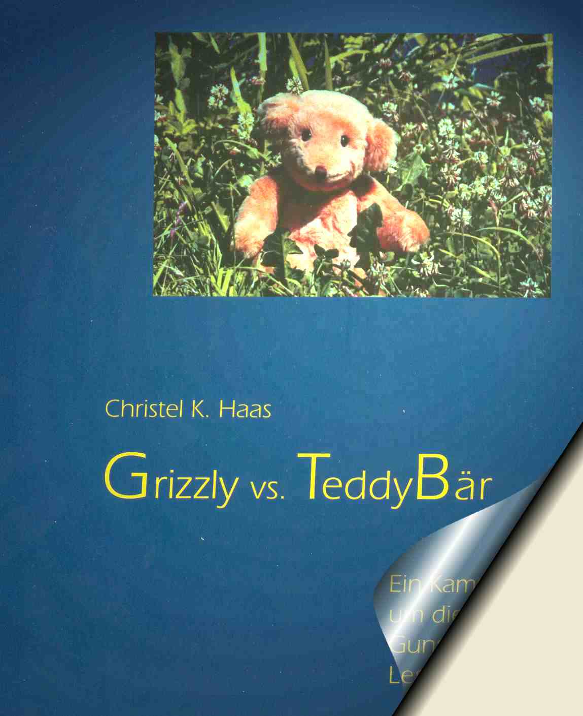 Buch Grizzly vs. Teddybaer