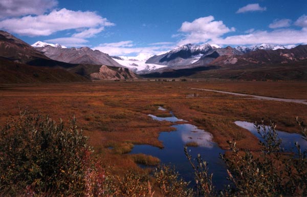 Alaska Herbstlandschaft